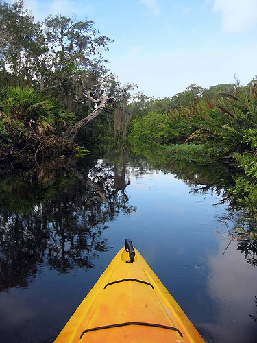 kayak